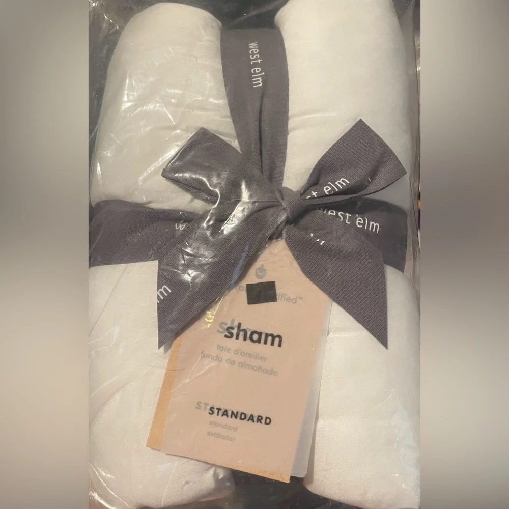 West Elm Silky TENCEL™ Plush Standard Sham in White